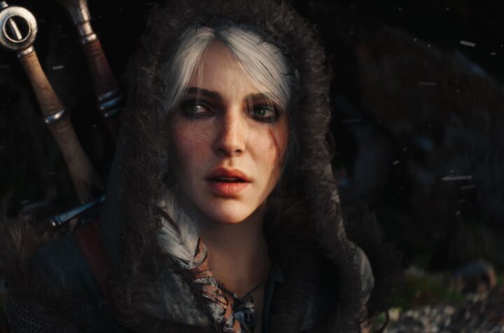 The Witcher IV/4