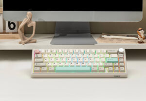 Epomaker TH65 keyboard (1)