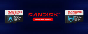SanDisk Guardian Memory Cards (1)