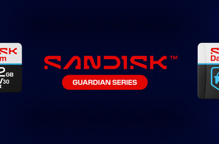 SanDisk Guardian Memory Cards (1)